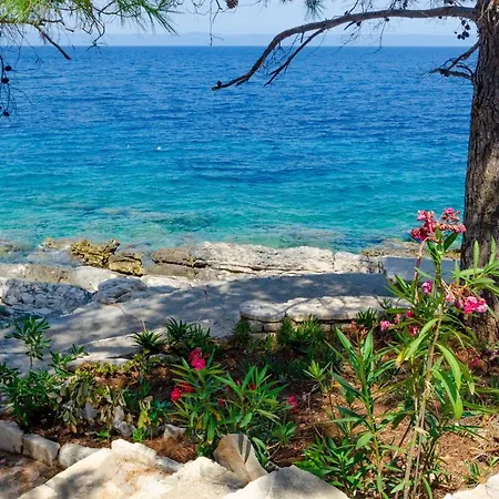 Nanica Prigradica Appartement