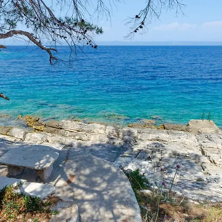 Nanica Prigradica Apartment