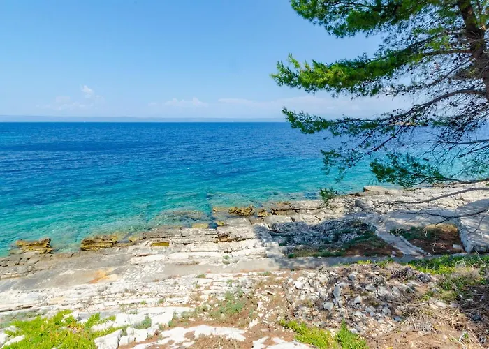 Nanica Prigradica Blato (Korcula)