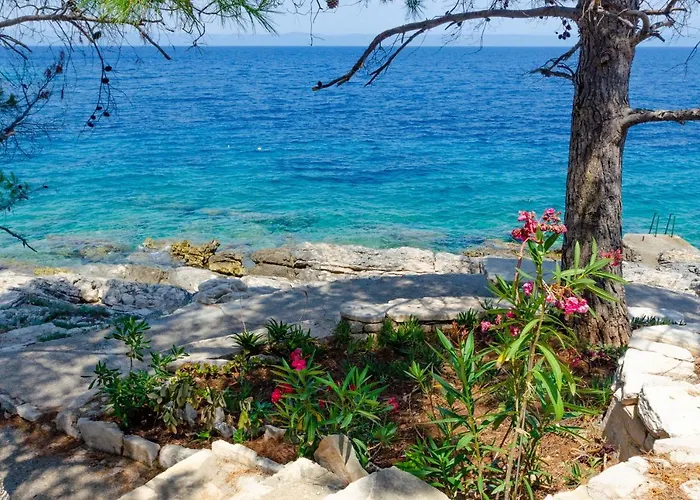 Nanica Prigradica Apartment