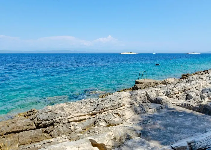 Nanica Prigradica Apartment *